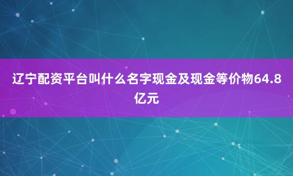 辽宁配资平台叫什么名字现金及现金等价物64.8亿元